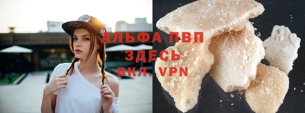 стаф Белоозёрский