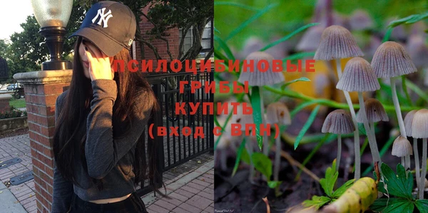 ALPHA PVP Белокуриха