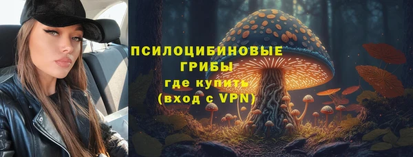 ALPHA PVP Белокуриха