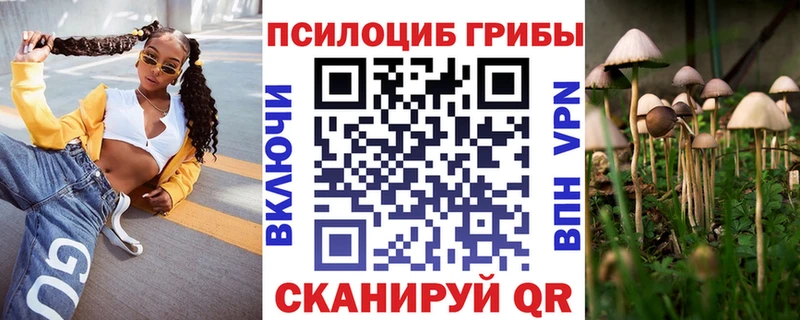 Псилоцибиновые грибы мухоморы Вытегра