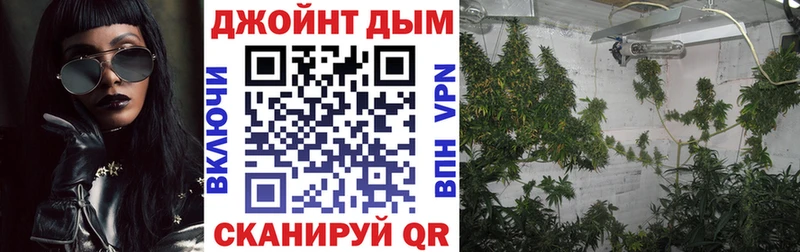 Бошки марихуана MAZAR Вытегра